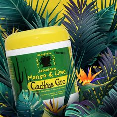 JAMAICAN MANGO & LIME ≡ Cactus Gro